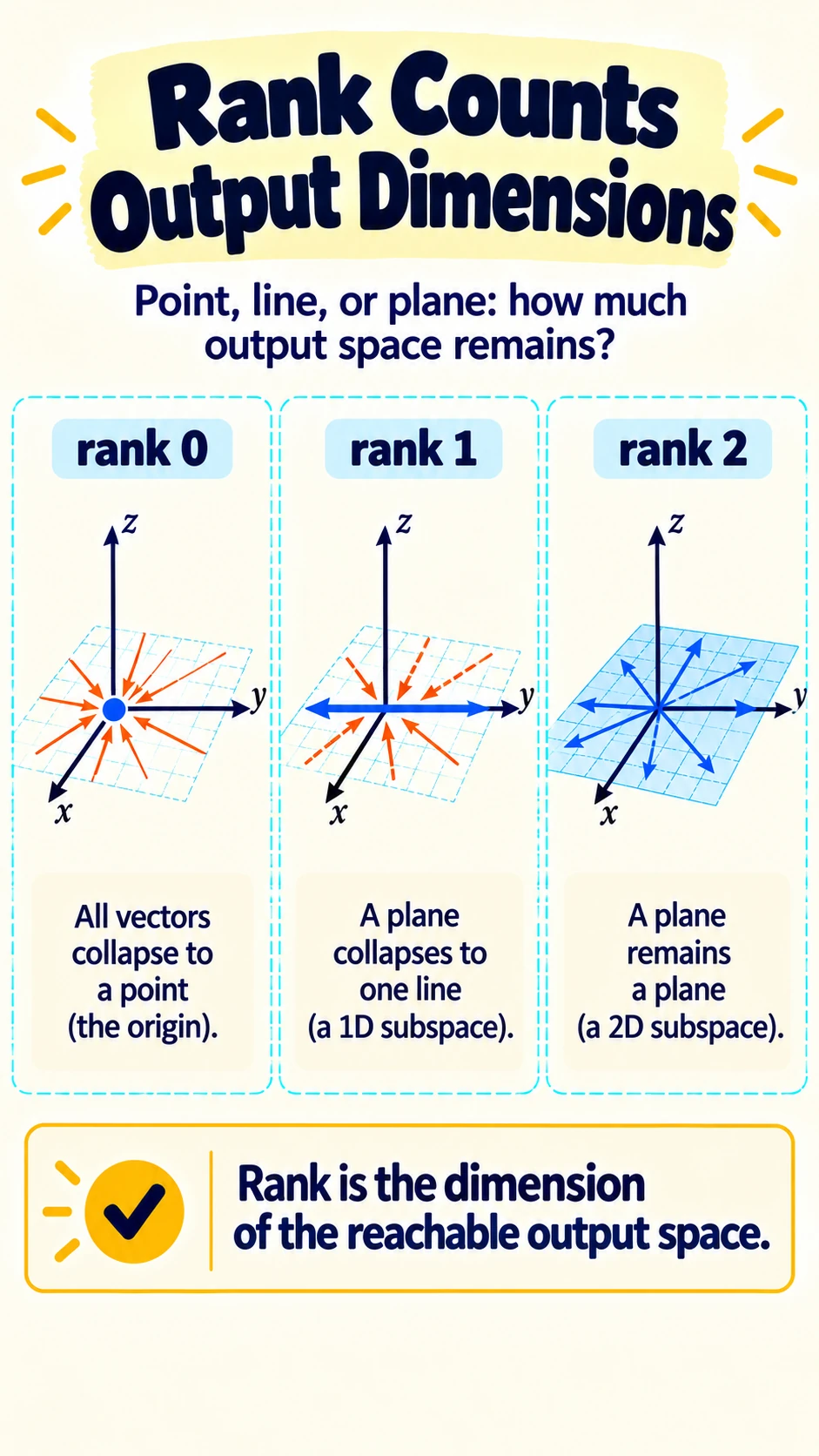 Rank Counts Output Dimensions