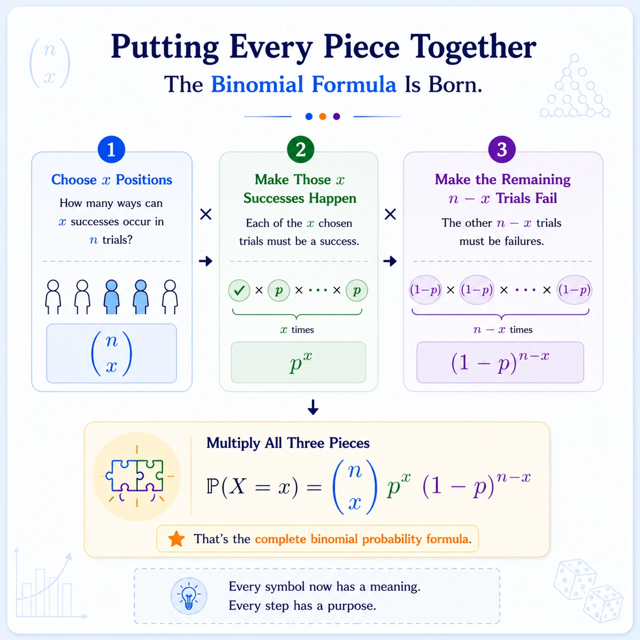Binomial Distribution: Step 11