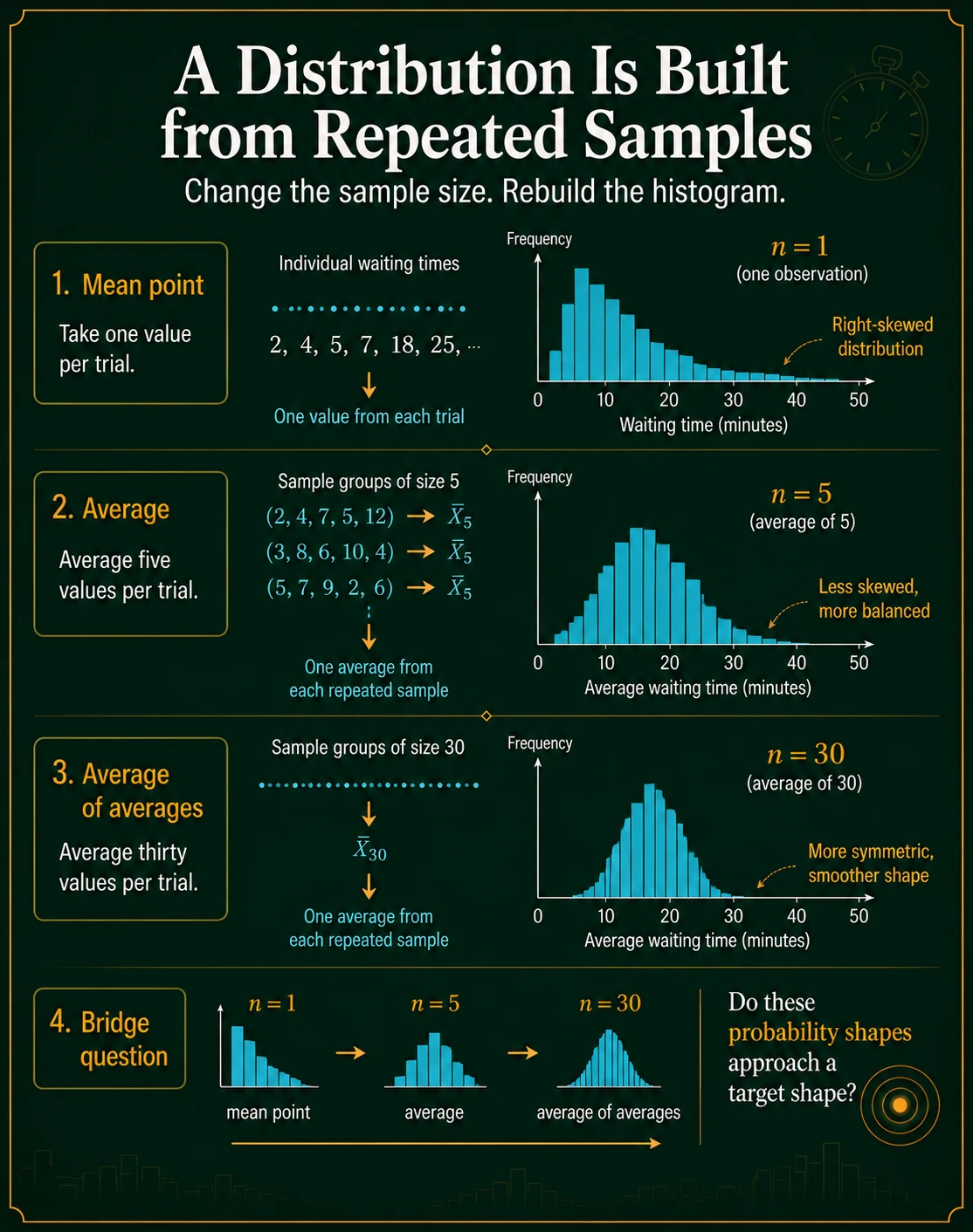 Repeated samples build a distribution. Across repeated samples, one value per trial can be skewed, averages of five are less skewed, and averages of thirty are smoother and more symmetric. The histogram is a distribution of estimators, not one path.