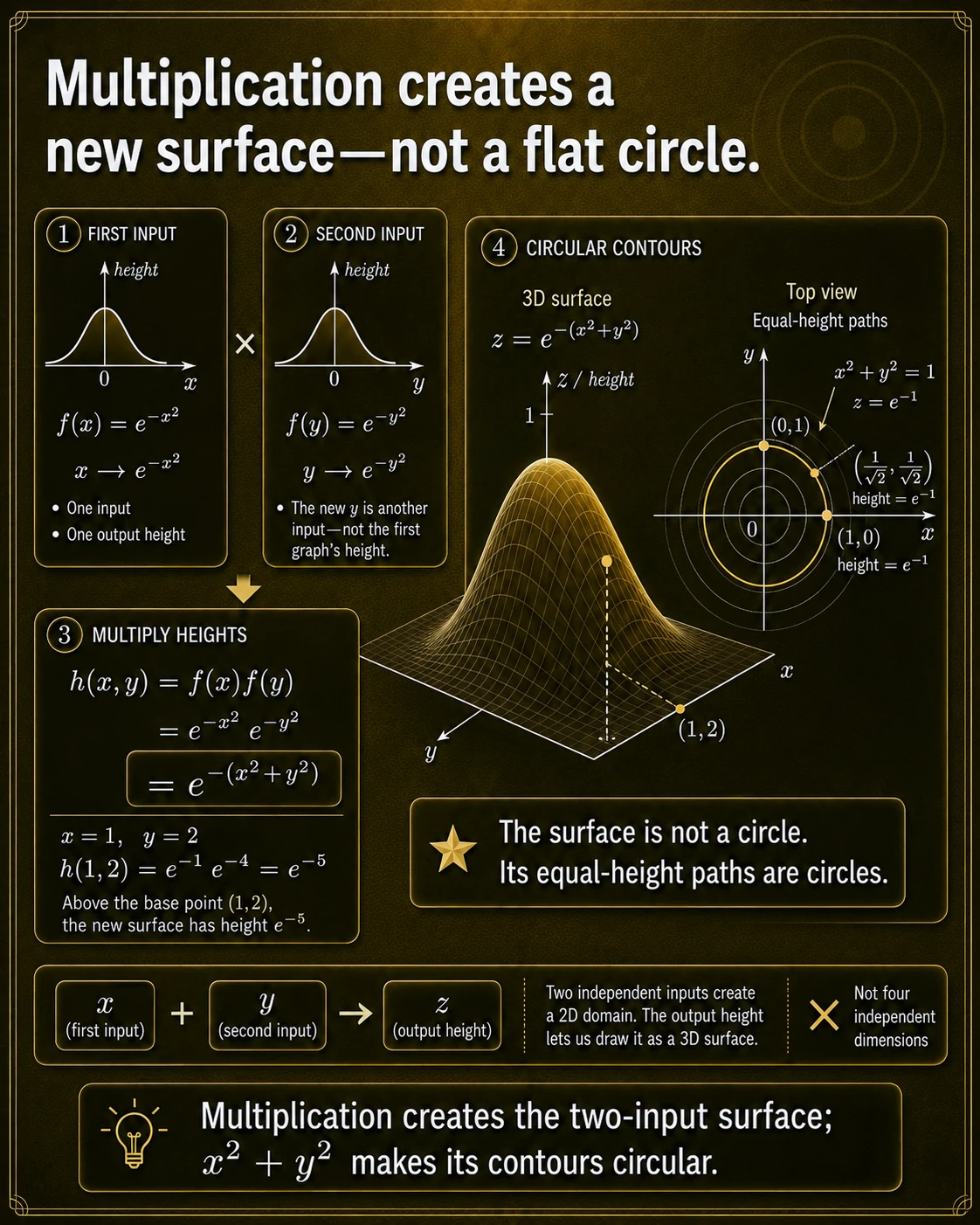Multiplication creates a surface with circular contours. The product exp(-x^2)exp(-y^2)=exp(-(x^2+y^2)) is a height over the xy-plane; equal-height level sets are circles.