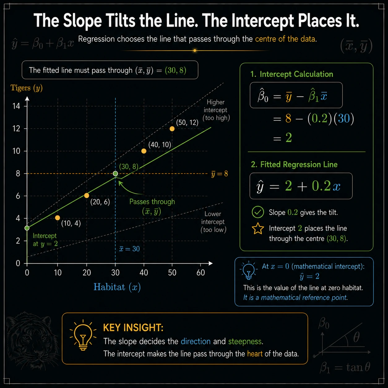 Read a fitted line with four checks. Check direction, magnitude and units, the observed x-range, and whether a straight-line summary is appropriate.